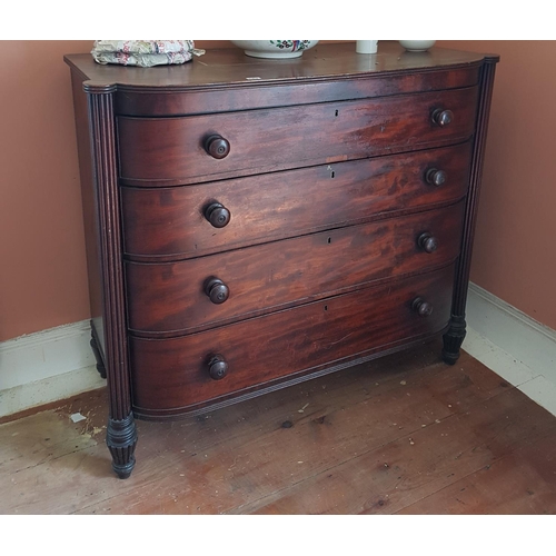 689 - A really fine Georgian Mahogany bow fronted Chest of Drawers with a reeded outline. H 111 x W 126 x ... 