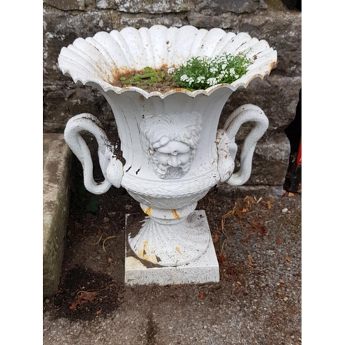 726 - A fantastic pair of Cast Iron Urns of large size.H 74cms.