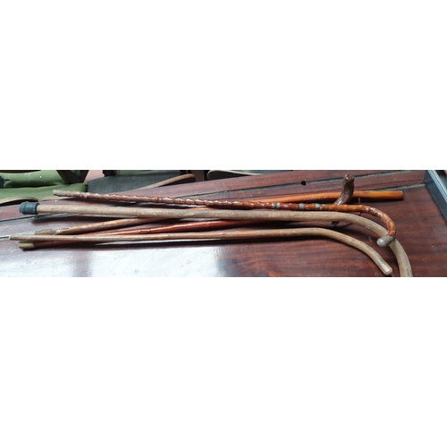 177c - A quantity of vintage Walking Sticks.