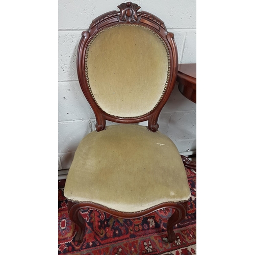 13 - A lovely pair of 19th Century Mahogany Salon Chairs.