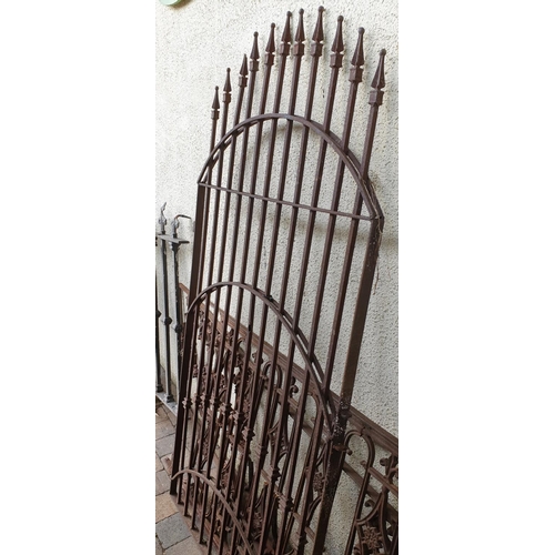 239 - A single Metal Gate with arched top. W 90 x H 185cm approx.