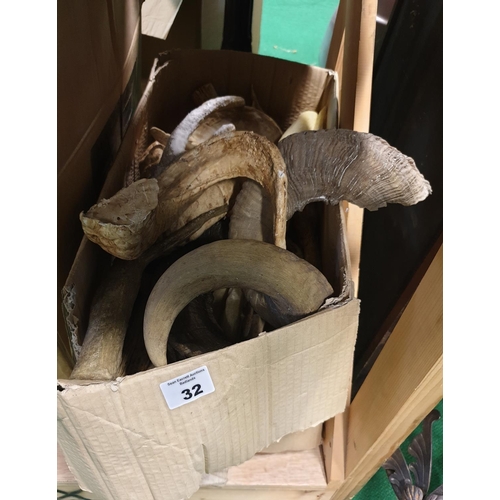 32 - A large quantity of Horns real and props in one box. (Q)