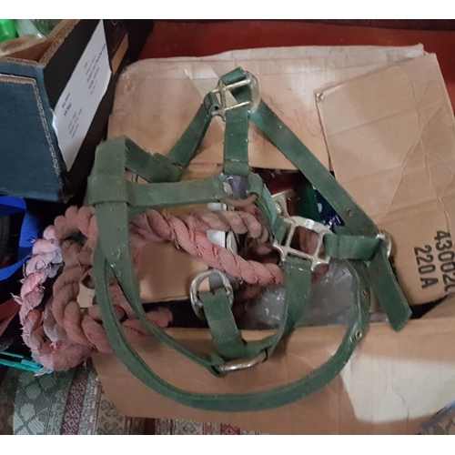 307 - A Saddle,Tack and other items in three boxes.