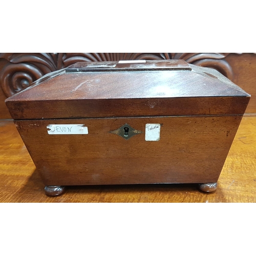 626b - A Georgian Mahogany Tea Caddy of Sarcophagus form.