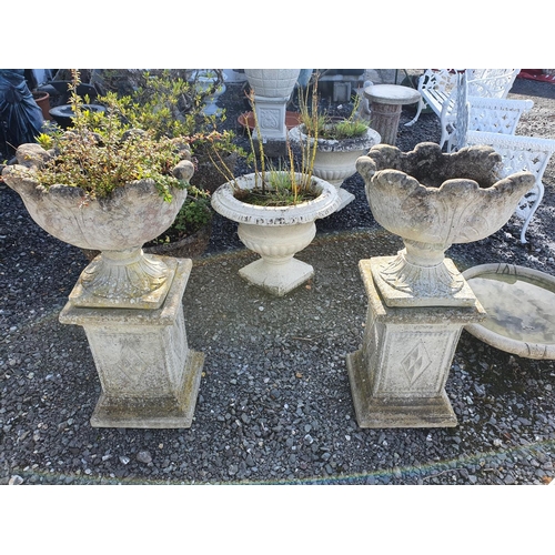 25 - A good pair of reconstituted Stone Urns on Stands. 90 H x 46 cms W