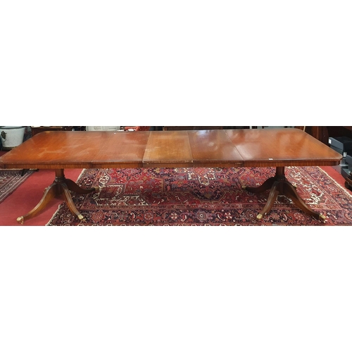 398 - A really good Regency style three pillar Boardroom Table on tripod supports with two leaves. Fully e... 