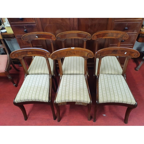 399 - A superb set of six William 1Vth Mahogany Dining Chairs with carved backs on sabre front supports.