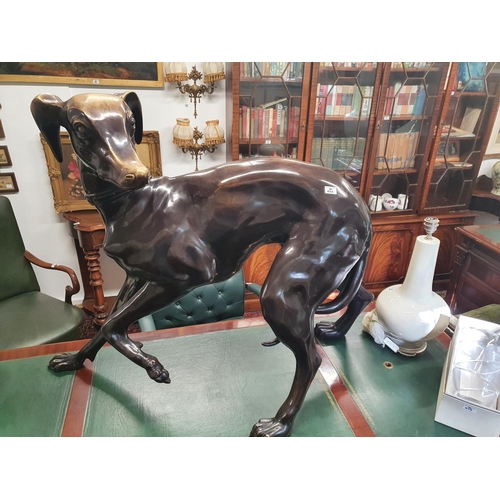 664 - The property of The 5 star Hotel in London. A very large life size Bronze figure of a Greyhound. 116... 