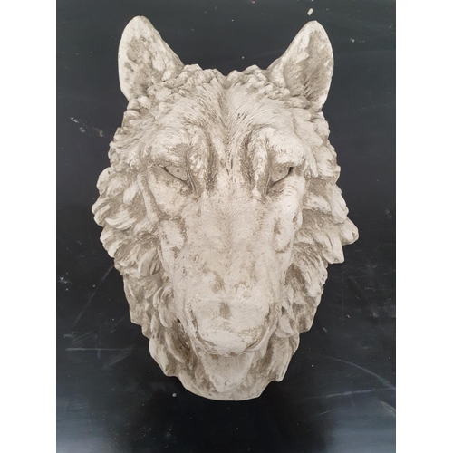 121 - A really well cast moulded head of a Wolf.36w x 43h cms.