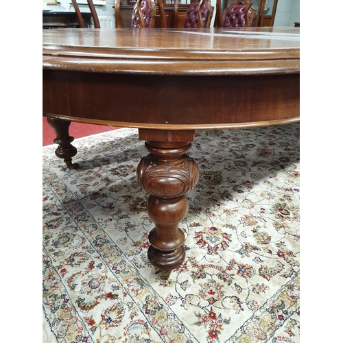 14 - A good 19th Century Mahogany three leaf D-End Dining Table with turned and carved supports.300 X 145... 