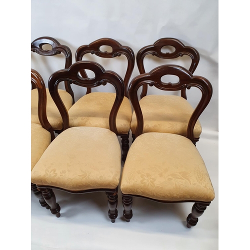 446 - A good set of eight mid 19th Century buckle back Dining Chairs with pierced backs and turned support... 