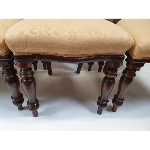 446 - A good set of eight mid 19th Century buckle back Dining Chairs with pierced backs and turned support... 
