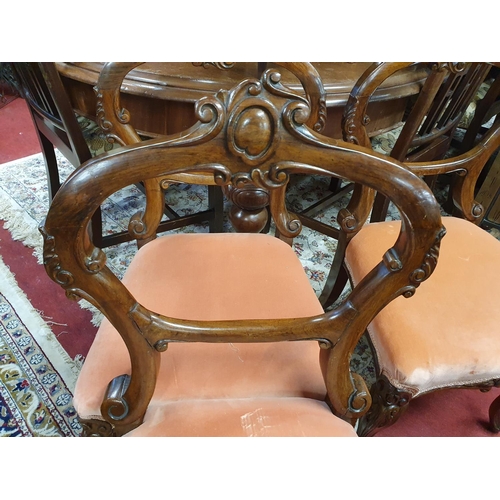 3 - A lovely set of three 19th Century Rosewood Salon Chairs with salmon coloured upholstery along with ... 