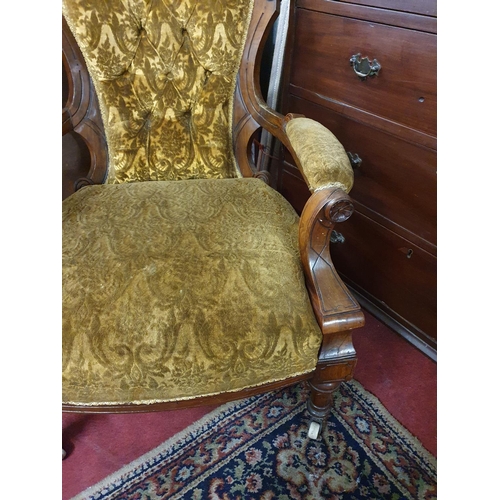 331 - A 19th Century Walnut Showframe Armchair in good condition.