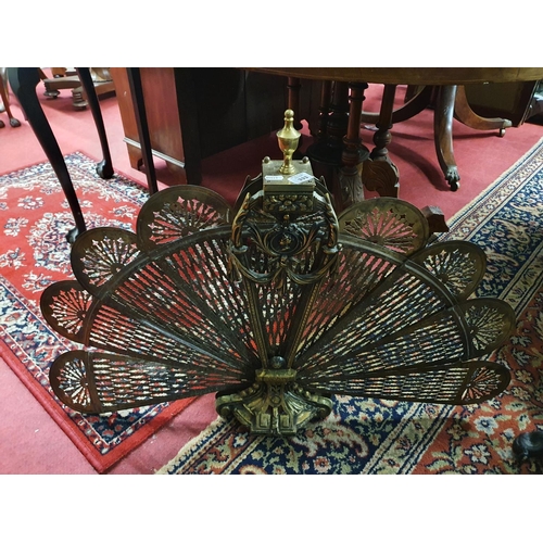 333 - A late 19th Century Brass Fan Fender.H 66 cms.