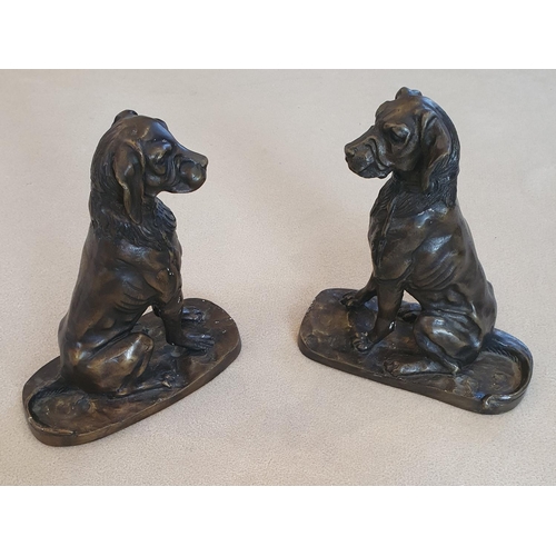 145 - A good pair of Bronze Dogs. 23 cms high approx.