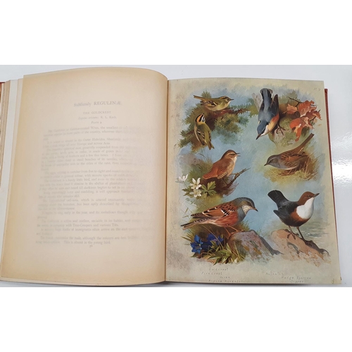 337 - Three volumes of British Birds written and illustrated by Archibald Thorburn. Volumes 1 11 and 1V. 1... 