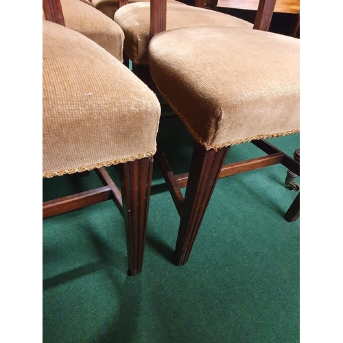 106 - A really good set of six early Regency Mahogany dining Chairs with reeded outline.