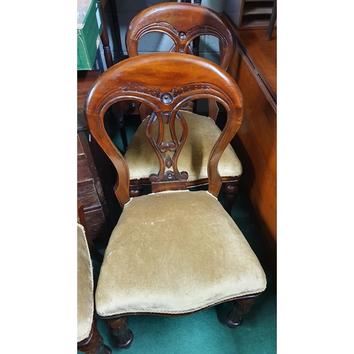 97 - A good set of four Mahogany Balloon Back Chairs.