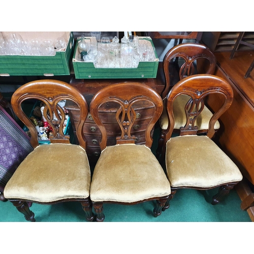 97 - A good set of four Mahogany Balloon Back Chairs.