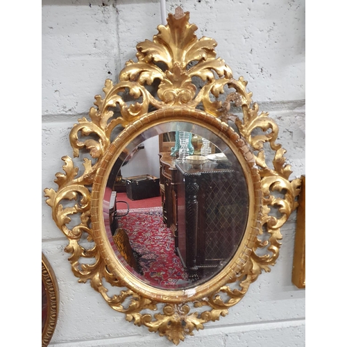 255 - A good 19th Century highly carved Timber Gilt Mirror with original gold leaf. 50 x 65 cms approx.