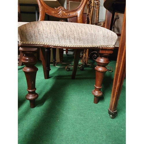 65 - A good set of four Victorian balloon back Chairs. Seat H 45 cms, height of Back 90 cms approx.