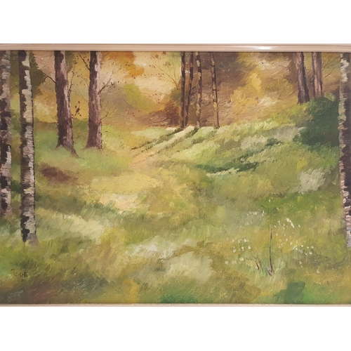 210 - A good Oil on Canvas of a forest scene by Leo Toye. 34 x 48 cms approx.