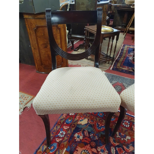 407 - A lovely pair of Regency Mahogany hooped back chair with reeded outline.