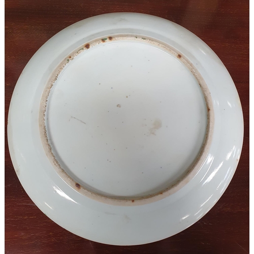 501 - 19th Century Cantonese Export Plate. 21.5 cms approx.