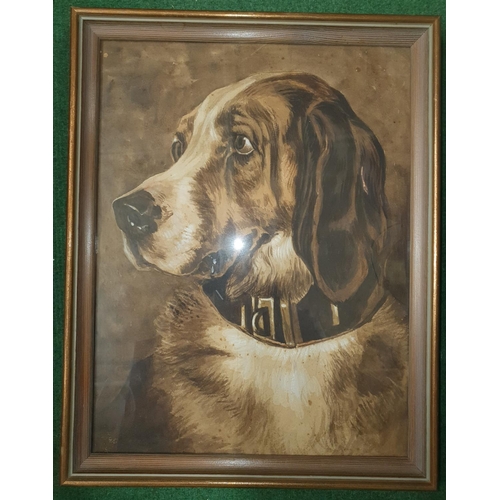 679 - A 19th Century Watercolour of a hound along with a Print of a retriever together with a Watercolour ... 