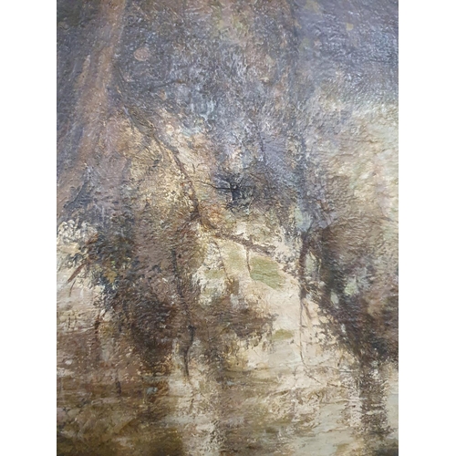 795 - A very large Oil on Canvas of sheep by a river by George Graham, signed, 71 x 90 cms approx.