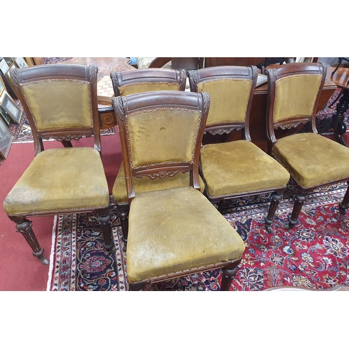 844 - A really good set of five early Victorian Mahogany fully upholstered showframe Chairs. W 47 x seat H... 