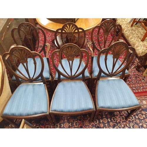 867 - A good set of six. 4+2. late 19th early 20th Century Mahogany Hepplewhite Chairs with sheaf of wheat... 