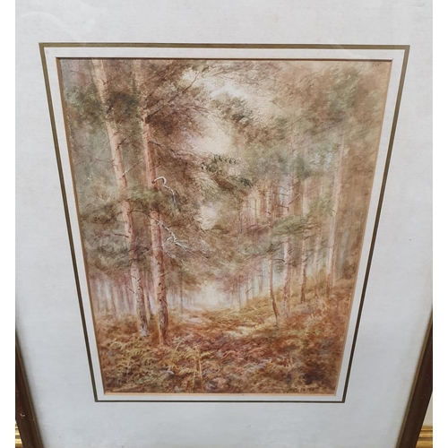 896 - Walter Duncan, Exhibited 1880-1906. A Watercolour 'In the wood'. Signed LR. 11