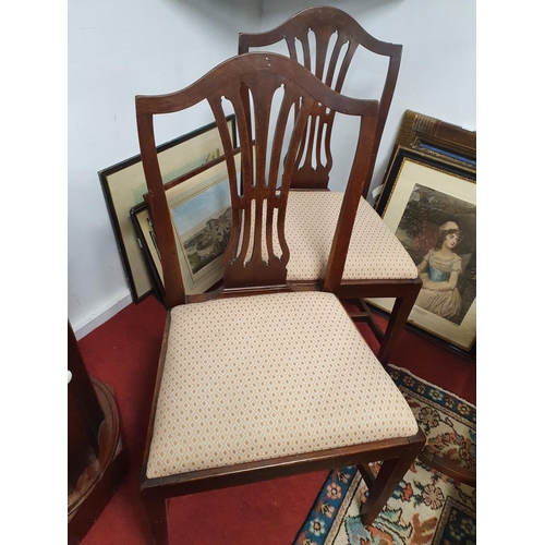 903 - A lovely pair of Georgian Chairs. W 50 x seat H 50 cms approx.