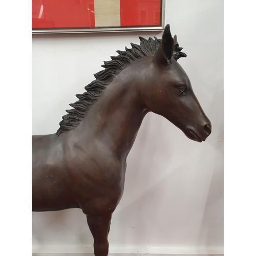 919 - A fantastic life size Bronze model of a Foal. H 125 cms approx.