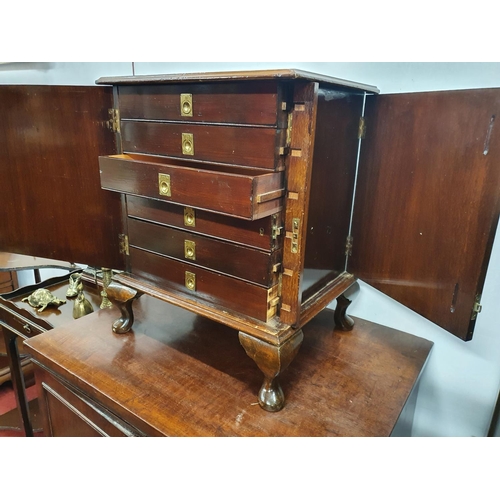 1003 - A small unusual mahogany and stained pine table top collectors cabinet enclosed by a single door fit... 