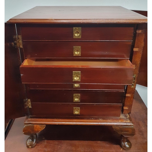 1003 - A small unusual mahogany and stained pine table top collectors cabinet enclosed by a single door fit... 