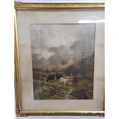 1009 - A good 19th Century coloured Print of highland cattle after Lewis B. Hurt 1902 in a really good Oil ... 