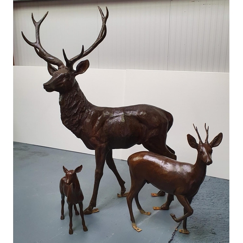 422 - A superb quality life size cast Bronze group, consisting of a Stag, Doe and Fawn.