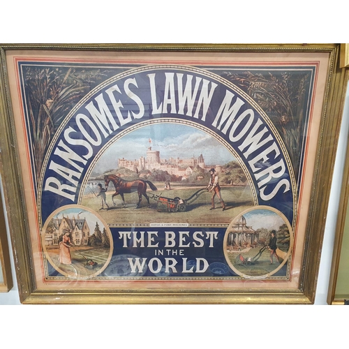 992 - A Ransome's Lawnmower framed Advertising Sign. 66 x 80 cms approx.