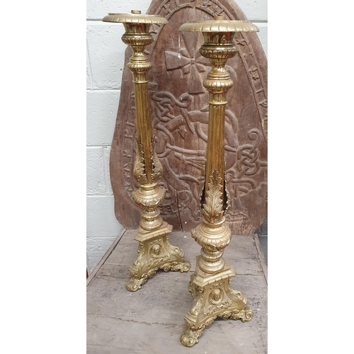 663 - A superb pair of heavy Brass Candlesticks. 85H cms approx.