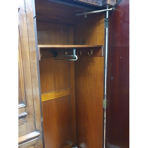 284 - A fantastic 19th Century Irish Wardrobe with panelled centre flanked with 2 mirror doors and Anna Li... 