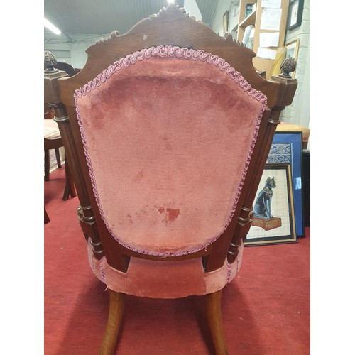 113 - A 19th Century Walnut Showframe Salon Chair. W 49 x seat H 34 cms approx.