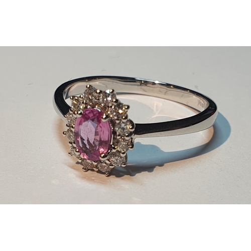 304 - An 18ct gold pink sapphire and diamond cluster ring. Pink sapphire weight 0.53ct. Total diamond weig... 