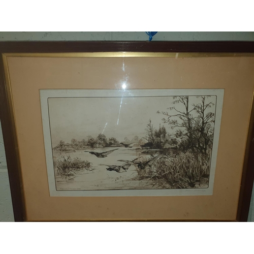 Lot 354       