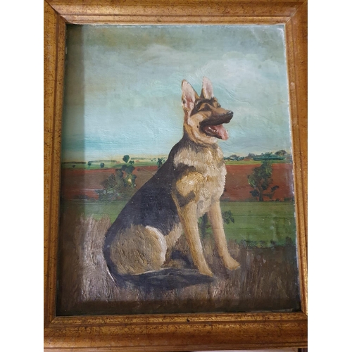 343 - An Oil on Canvas of boats moored, an Oil of an Alsatian dog, another picture and a quantity of Natio... 
