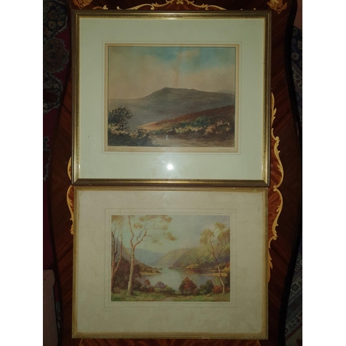 Lot 387       
