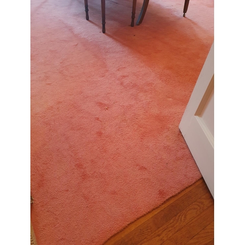 101 - A really good pink ground Carpet of large proportions. (slight wear and staining). 660 x 510cm appro... 