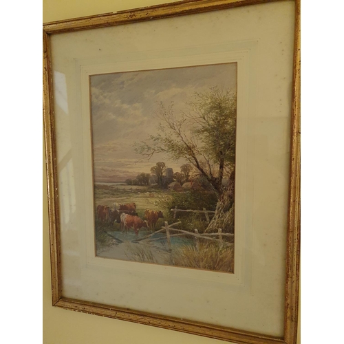 543 - A late 19th Century Watercolour of Cattle with a farmyard in the background. Signed Jean Rowden and ... 